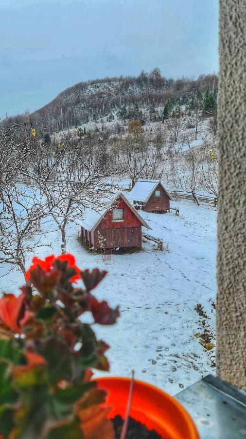 Etno Domacinstvo Saponjic Hotel Nova Varoš Eksteriør billede